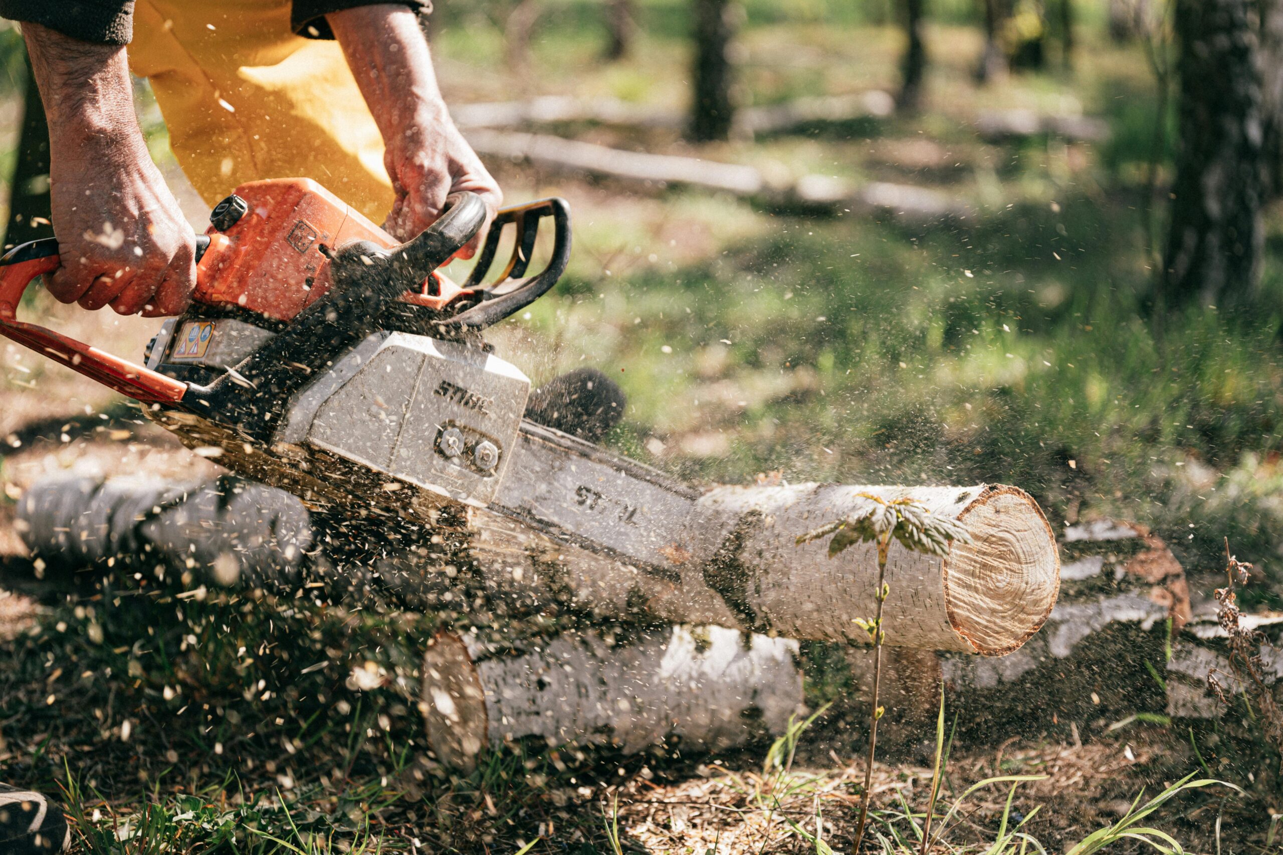 A lumberjack using a chainsaw to cut logs outdoors, with sawdust flying.